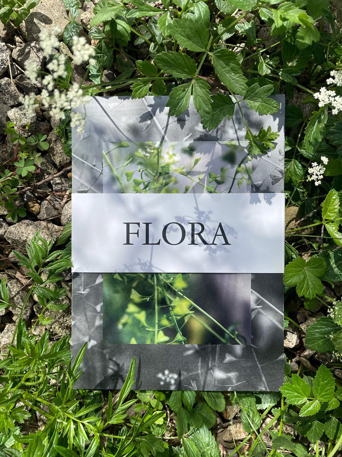 Flora Cover2